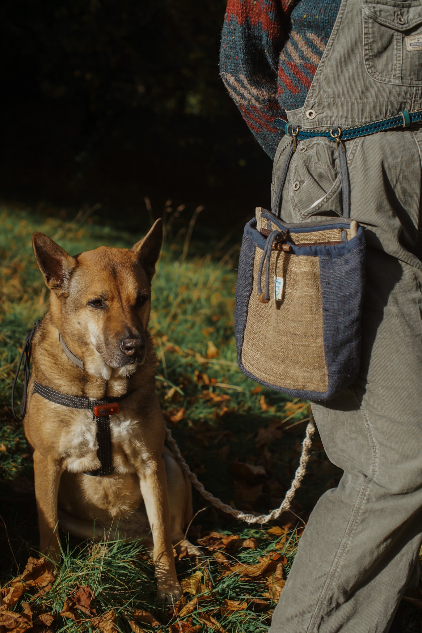Removable strap to hang rolling bag on waist